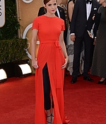 emma_2014_71st_annual_golden_globe_awards_64.jpg